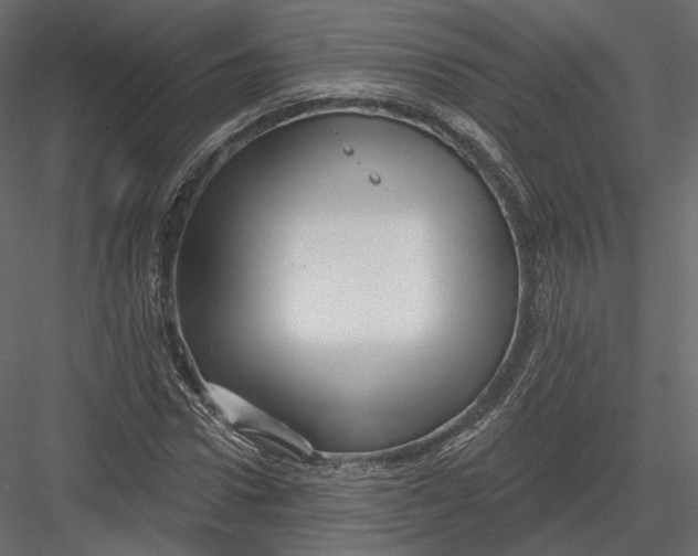 X0000082960922200702222336