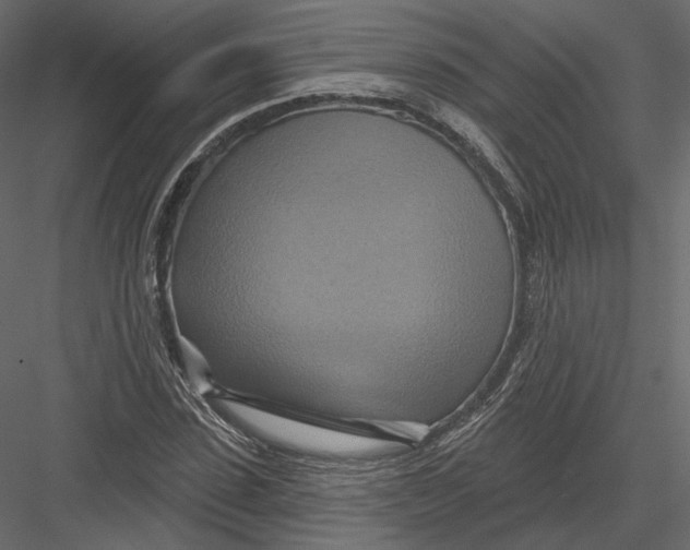 X0000082960923200702222336