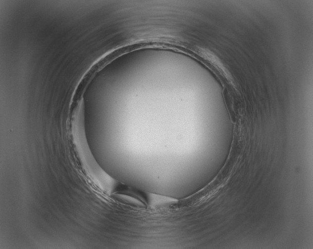 X0000082960924200702222336