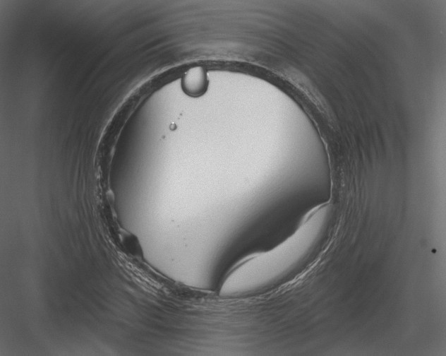 X0000082960926200702222336