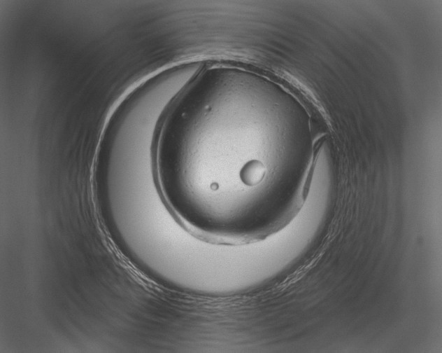 X0000082960928200702222336