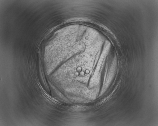 X0000082960929200702222336