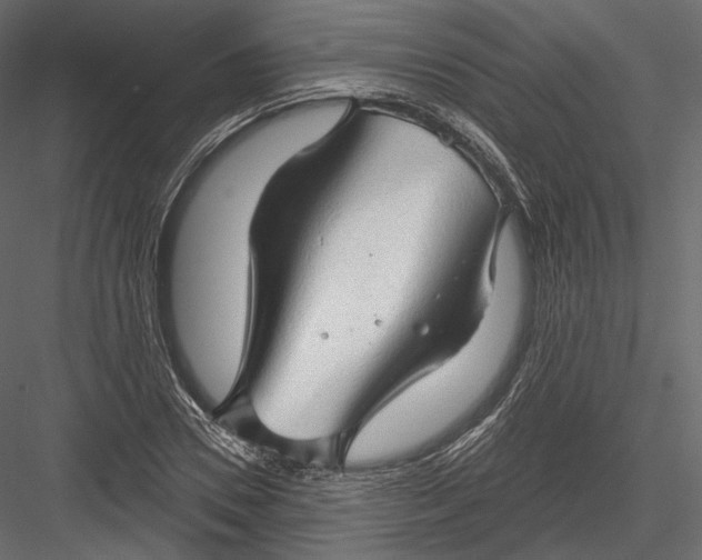 X0000082960930200702222336