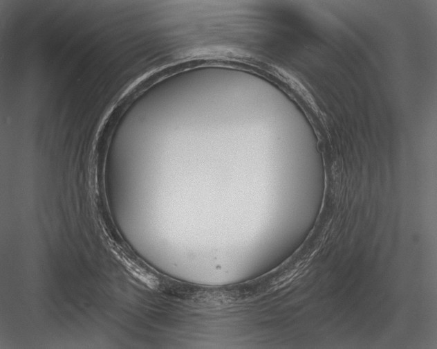 X0000082960931200702222336