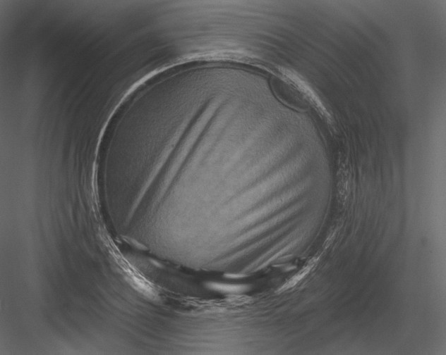 X0000082960932200702222336