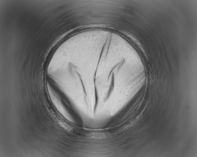 X0000082960933200702222336