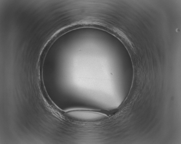 X0000082960934200702222336