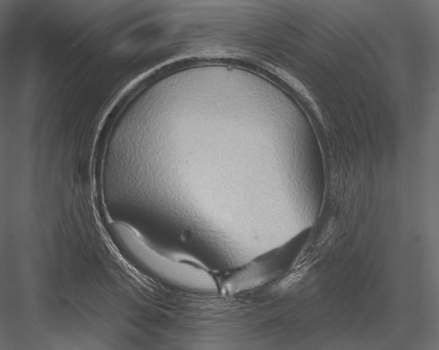 X0000082960935200702222336