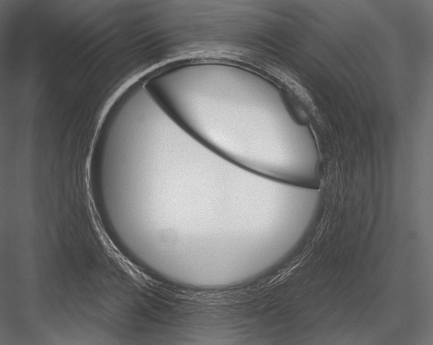 X0000082960936200702222336