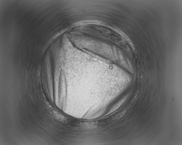 X0000082960937200702222336