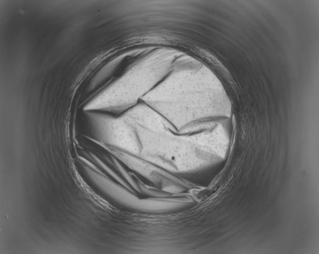 X0000082960938200702222336