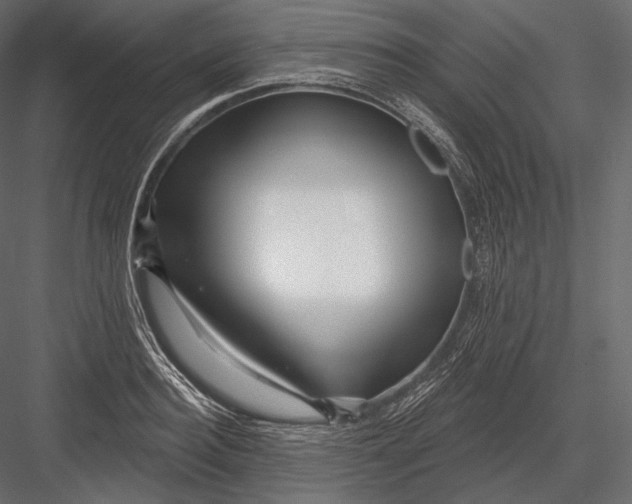 X0000082960940200702222336