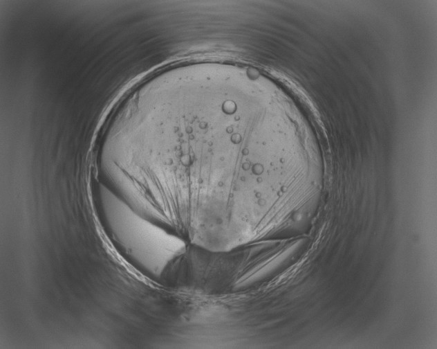 X0000082960941200702222336