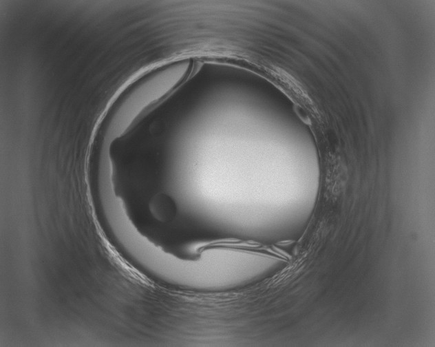 X0000082960942200702222336