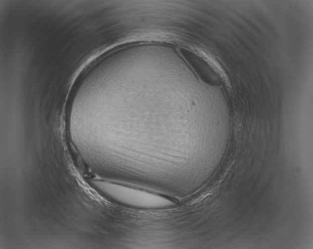 X0000082960944200702222336