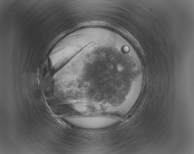 X0000082960945200702222336