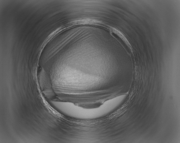 X0000082960946200702222336