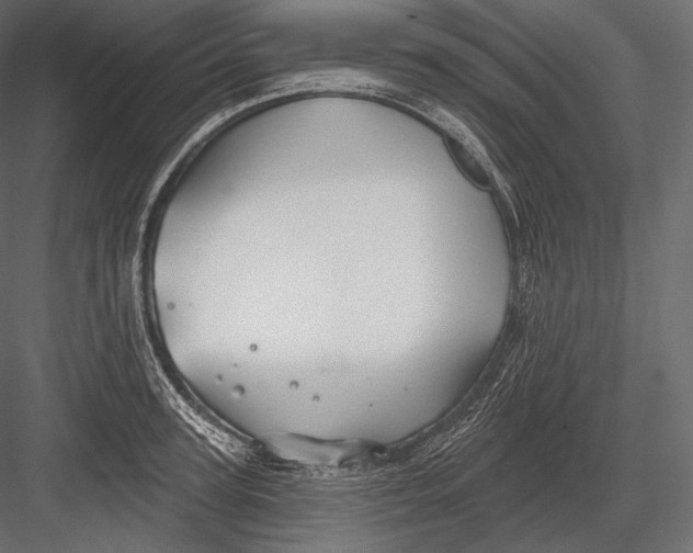 X0000082960947200702222336