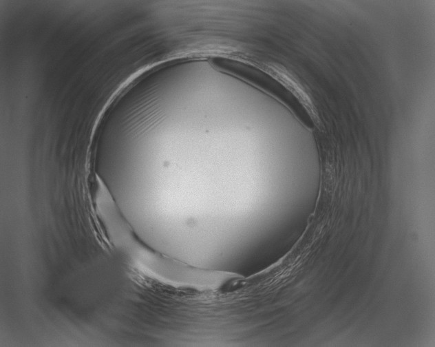 X0000082960948200702222336