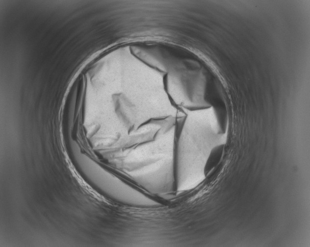 X0000082960949200702222336