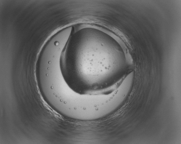 X0000082960950200702222336