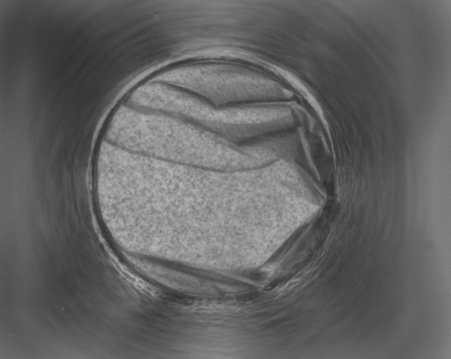 X0000082960951200702222336