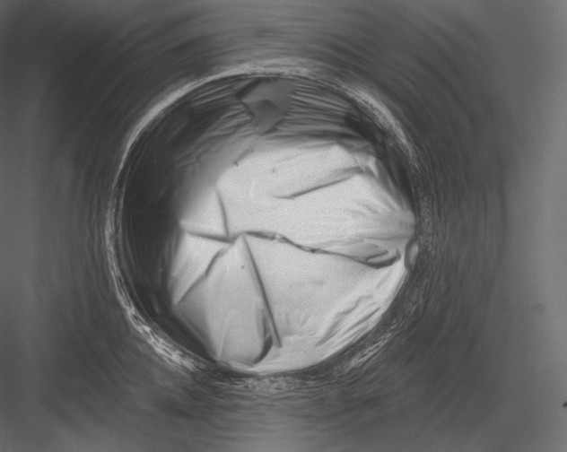 X0000082960952200702222336