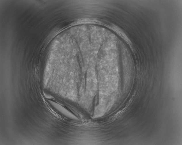 X0000082960953200702222336