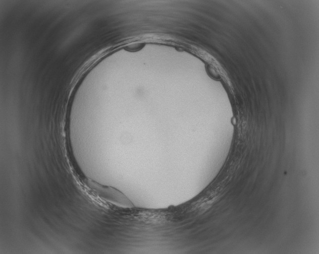 X0000082960954200702222336