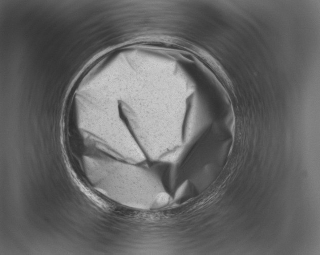 X0000082960955200702222336