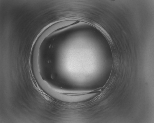 X0000082960956200702222336