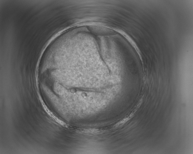 X0000082960957200702222336