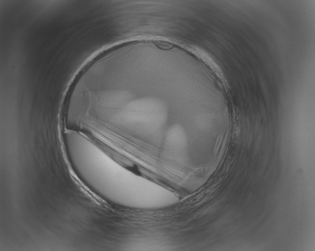 X0000082960958200702222336