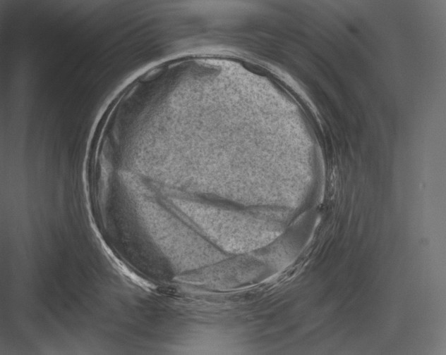 X0000082960959200702222336