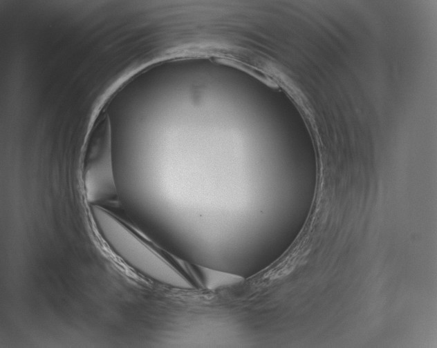 X0000082960960200702222336