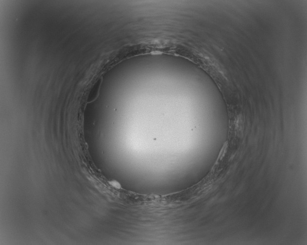 X0000082960961200702222336