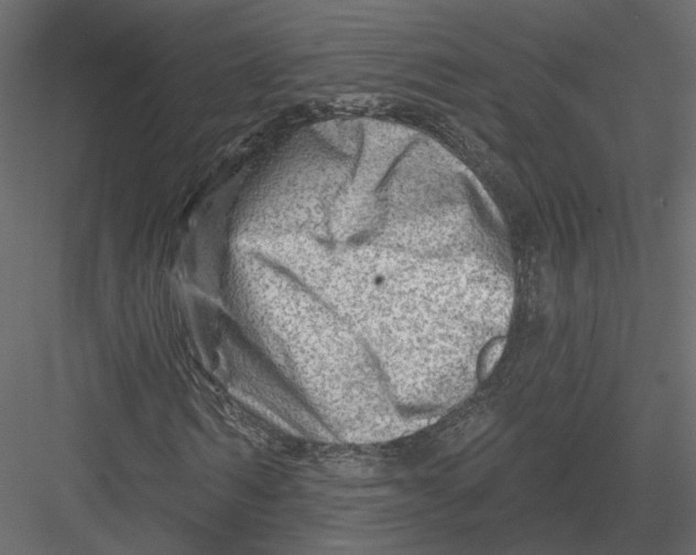 X0000082960962200702222336