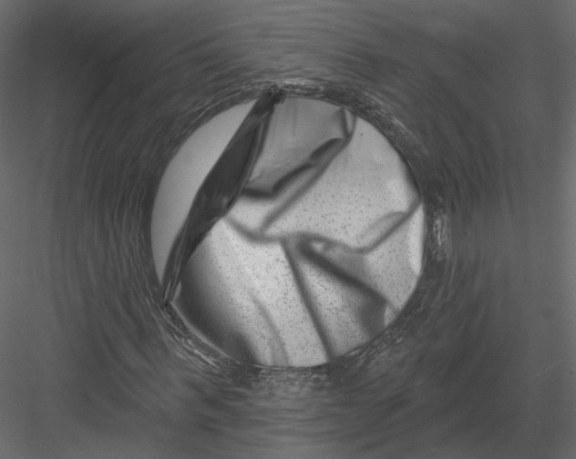 X0000082960963200702222336