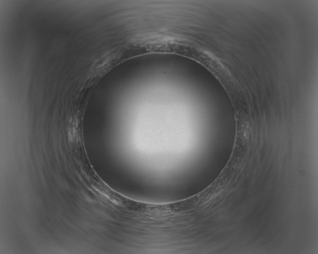 X0000082960964200702222335