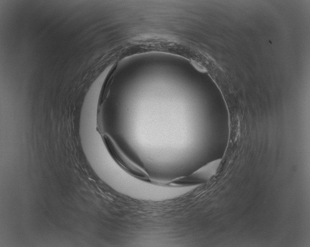 X0000082960965200702222335