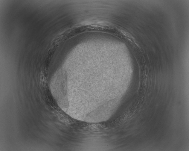 X0000082960966200702222335