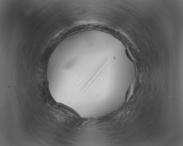 X0000082960967200702222335