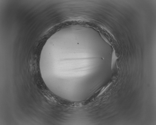 X0000082960968200702222335