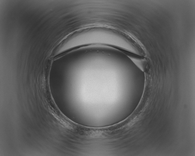 X0000082960969200702222335