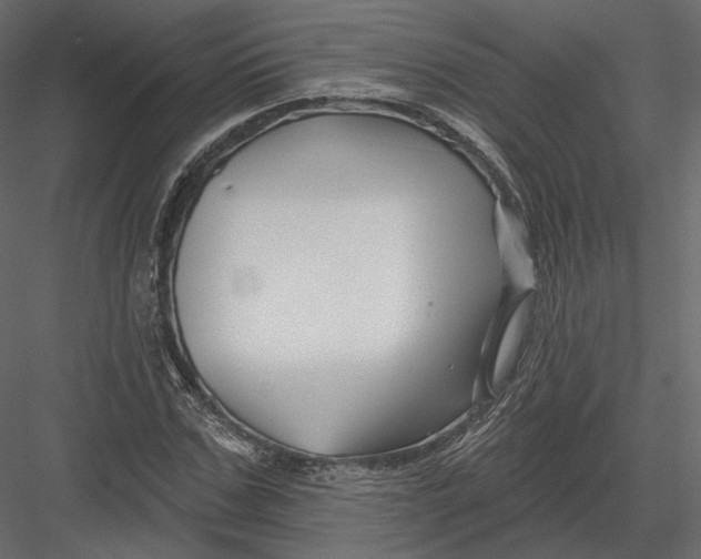 X0000082960971200702222335