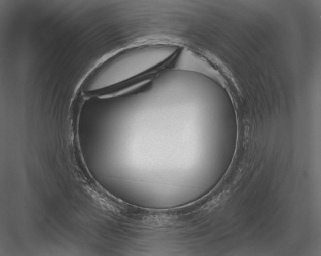 X0000082960973200702222335