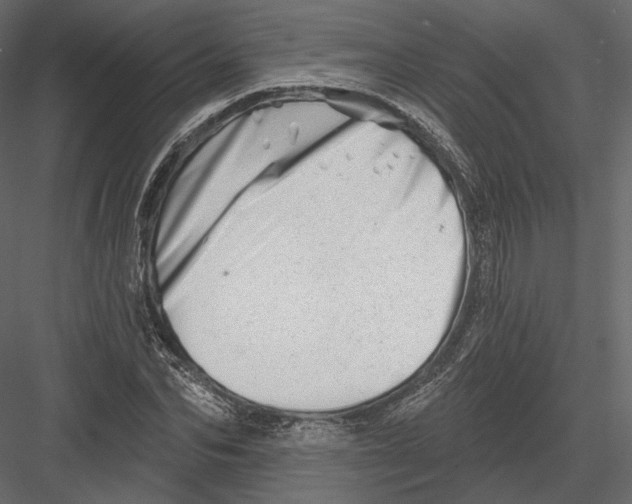 X0000082960974200702222335