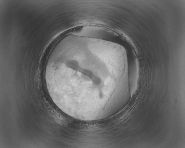 X0000082960975200702222335