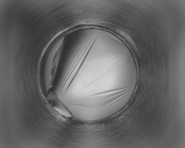 X0000082960976200702222335