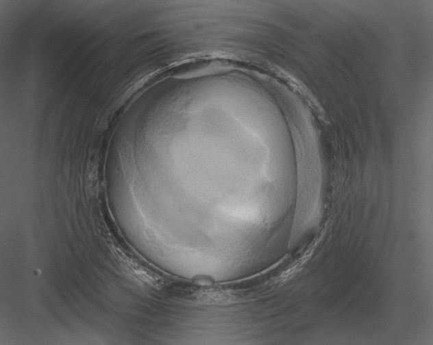 X0000082960977200702222335